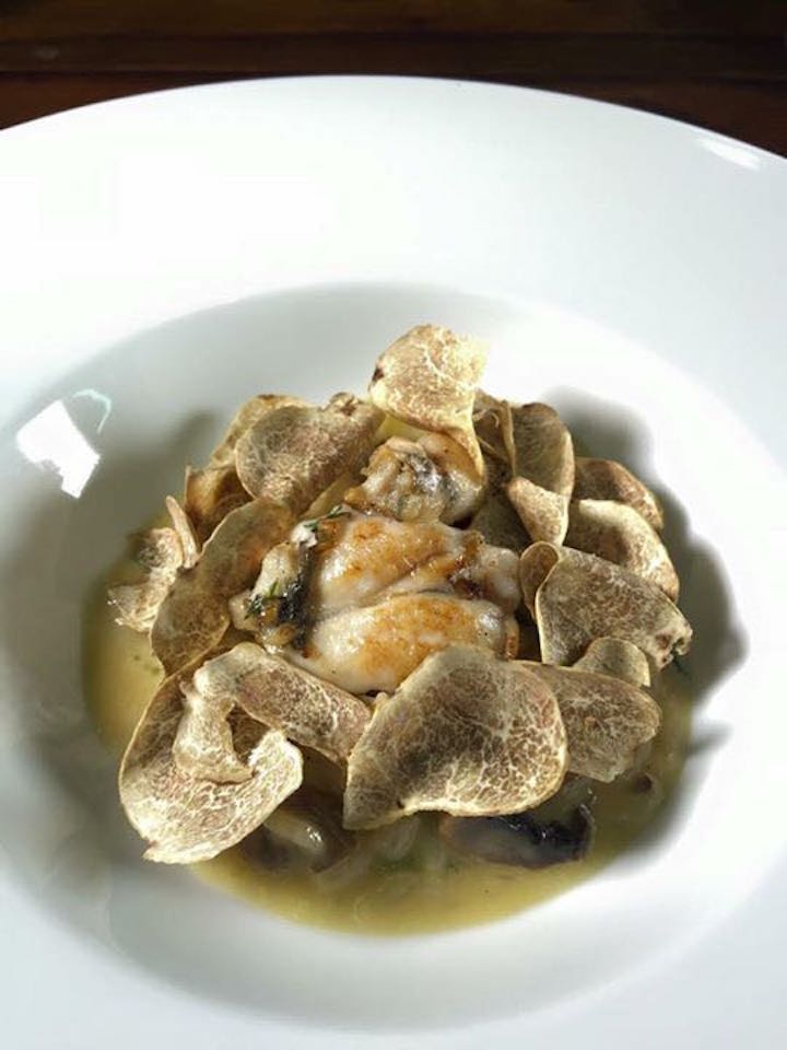 白松露: 身怀异香的林间白钻石